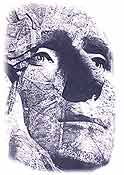 Thomas Jefferson - An American Sphinx